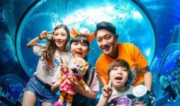 超人亲子王爆料视频