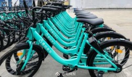 青桔单车最新爆料,揭秘行业变革背后的秘密与未来趋势”